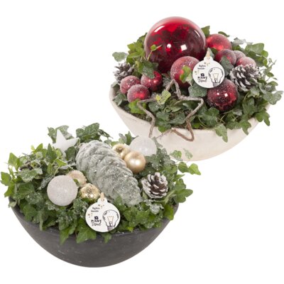 pdp-image-AH Kerstarrangement mand rond LED