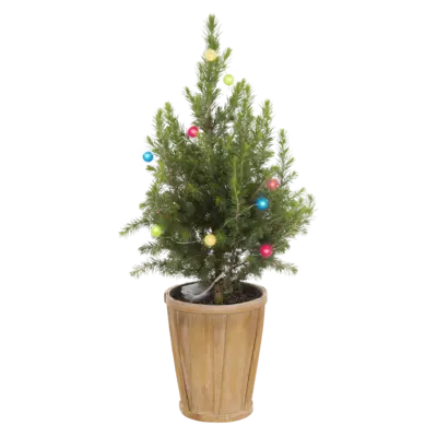 pdp-image-AH Kerstboom verlichting gekleurd