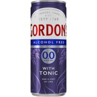 Een afbeelding van Gordon's Gin & tonic alcoholvrij
