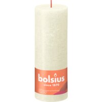 Doen genezen tevredenheid Bolsius producten bestellen | Albert Heijn