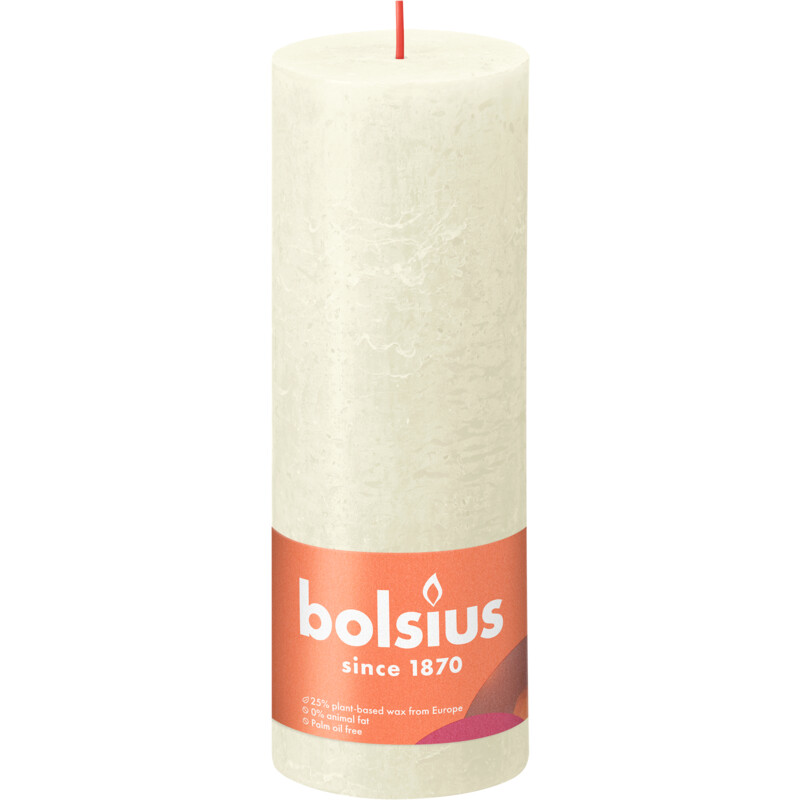 Anekdote reactie papier Bolsius Rustieke kaars ivoor 19cm bestellen | Albert Heijn