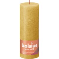 Een afbeelding van Bolsius Rustieke kaars okergeel 19cm