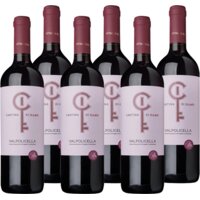 Cantina di Illasi Valpolicella doos