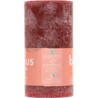 Een afbeelding van Bolsius Rustieke kaars bordeaux 13cm