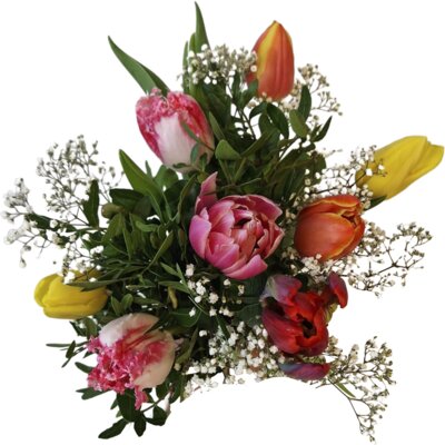 pdp-image-AH Speciale tulpen gemengd