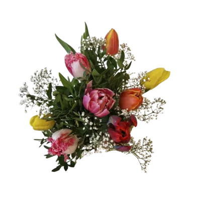 pdp-image-AH Speciale tulpen gemengd