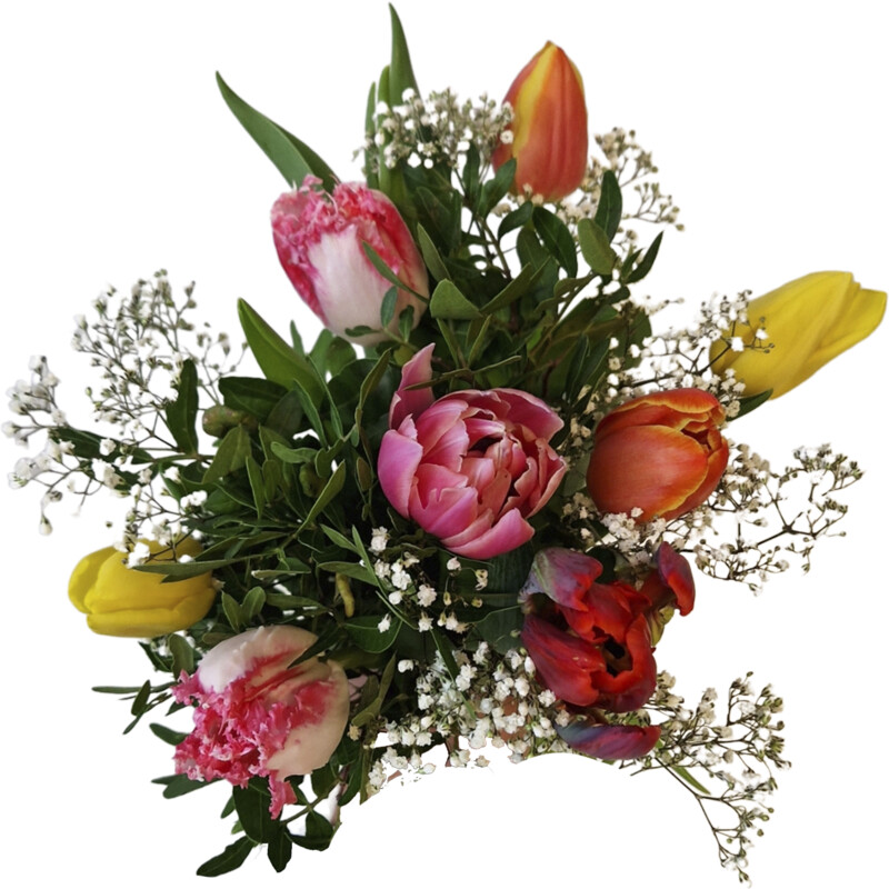 Een afbeelding van AH Speciale tulpen gemengd