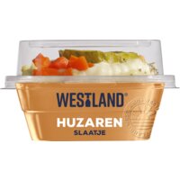 Een afbeelding van Westland Huzaren slaatje