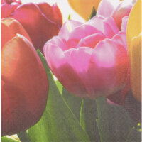 Een afbeelding van AH Servet tulpen 33x33cm