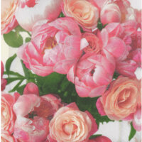 Een afbeelding van AH Servet bloemen roze 33x33cm