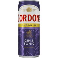 Een afbeelding van Gordon's Gin & tonic