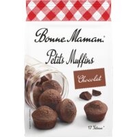 Petits muffins au chocolat