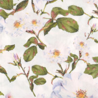 Een afbeelding van AH Servet bloem wit