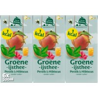 Van de Boom Groene ijsthee perzik & hibiscus 6-pack