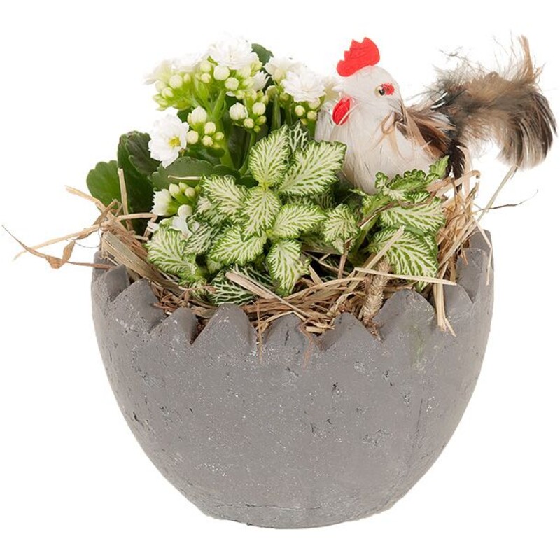 Een afbeelding van AH Arrange keramiekenschaal