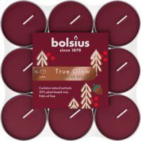 Bolsius Geurtheelichten true glow winter spices