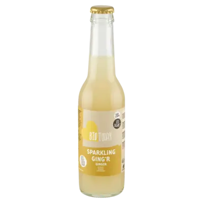pdp-image-BioToday Sparkling ginger original