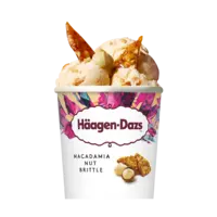 Häagen-Dazs Macadamia nut brittle