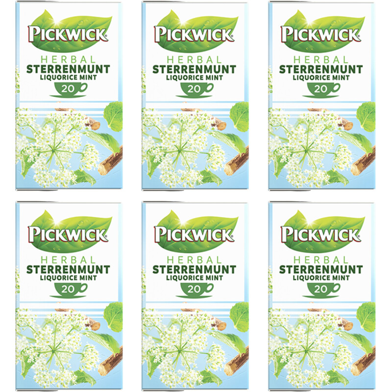 Een afbeelding van Pickwick Sterrenmunt thee pakket