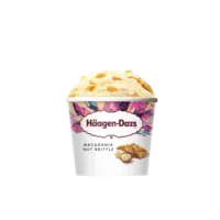 Häagen-Dazs Macadamia nut brittle