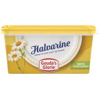Een afbeelding van Gouda's Glorie Halvarine