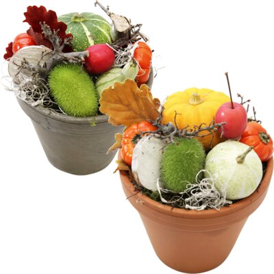 pdp-image-AH Sierfruit terracottapot