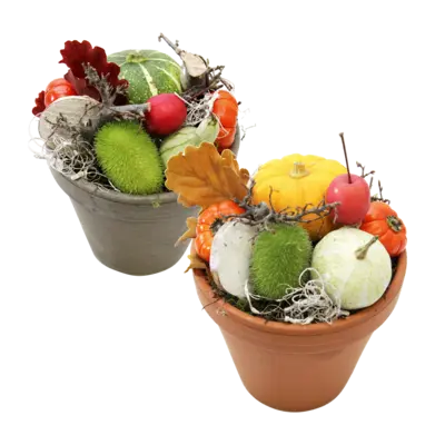 pdp-image-AH Sierfruit terracottapot