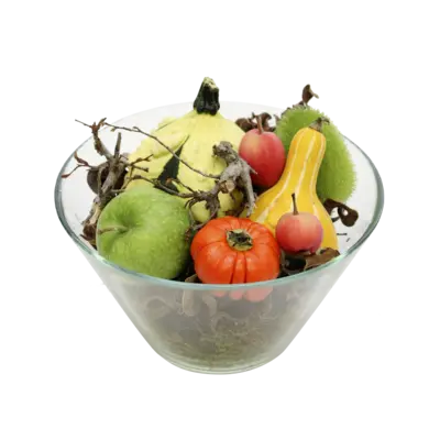 pdp-image-AH Sierfruit in glazen schaal