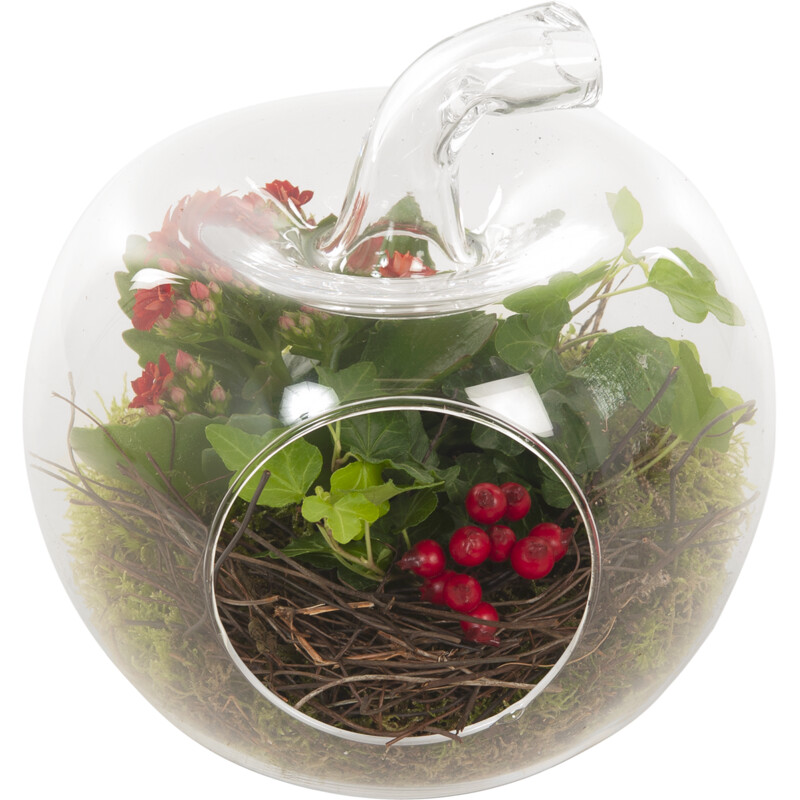 Een afbeelding van AH Herfstarrangement in glas
