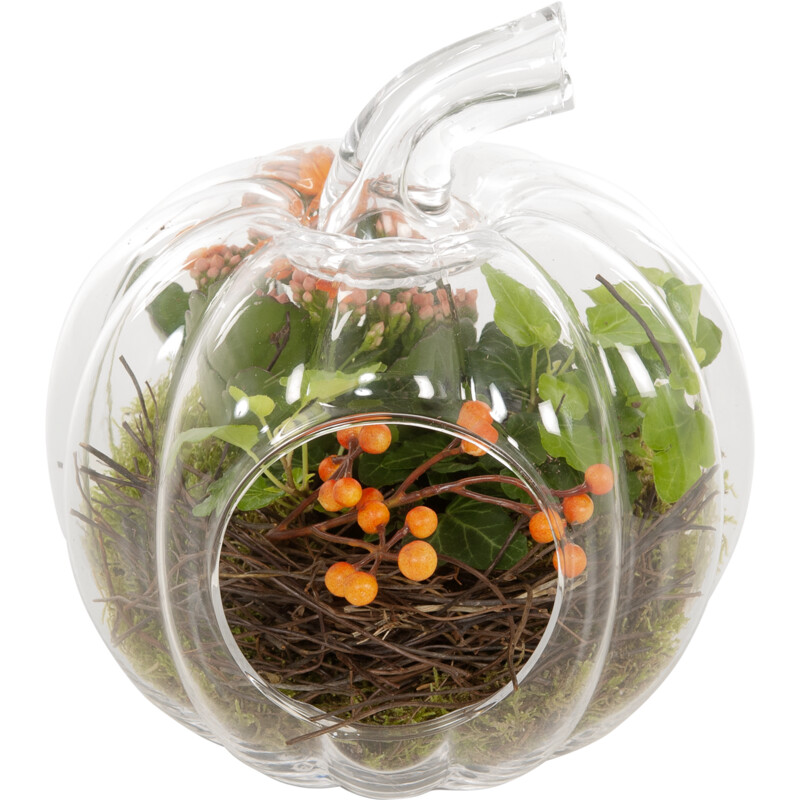 Een afbeelding van AH Herfstarrang glas pompoen