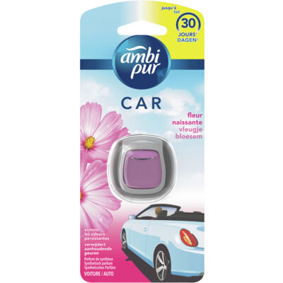 Air freshener outlet auto