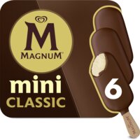 Een afbeelding van Magnum Mini classic