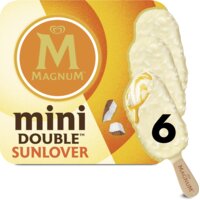 Een afbeelding van Magnum Mini double sunlover