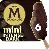 Een afbeelding van Magnum Mini intense dark
