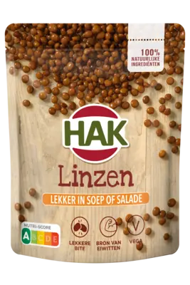 pdp-image-Hak Linzen