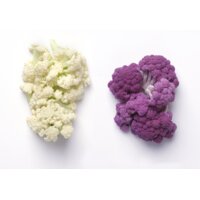 Een afbeelding van AH Bloemi