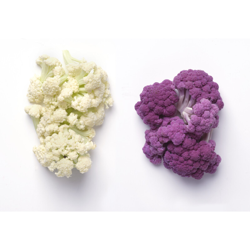 Een afbeelding van AH Bloemi