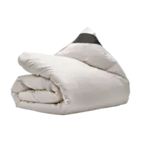 Ten Cate Dekbed 4-seizoenen dons 90/10 240x220