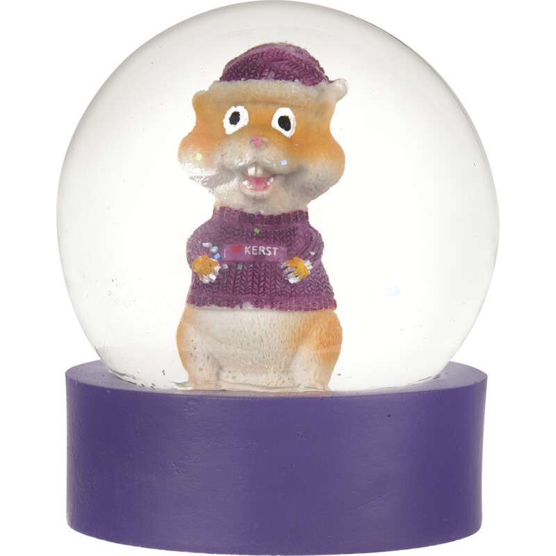 Een afbeelding van AH Excellent Snowglobe Harrie