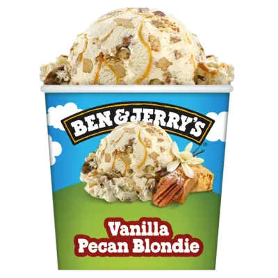 pdp-image-Ben & Jerry's Vanilla pecan blondie