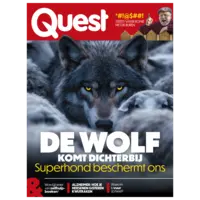 Quest