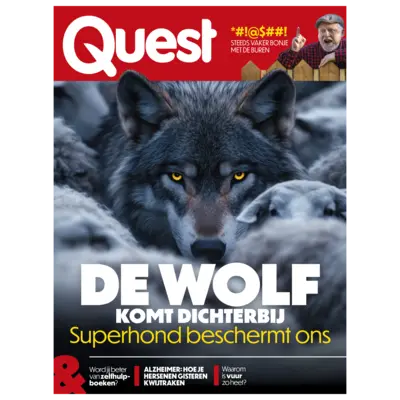pdp-image-Quest