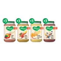 Olvarit Variatiemenu fruit 12m+