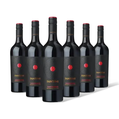 pdp-image-Fantini Sangiovese 6 flessen