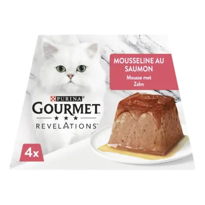 pdp-image-Gourmet Revelations mousse met zalm