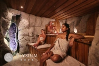 VDS Elysium dagentree