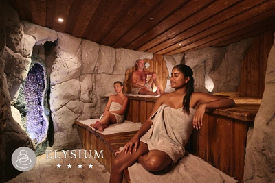 pdp-image-VDS Elysium dagentree