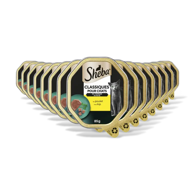 Classics pat met kip 15-pack