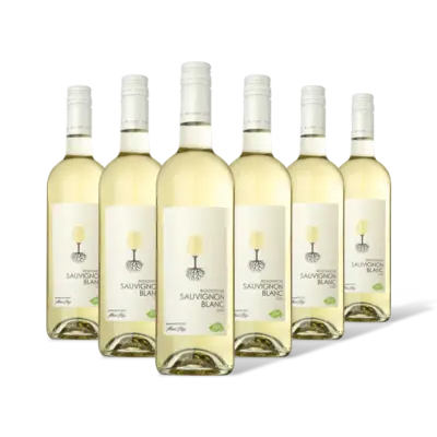 pdp-image-AH Biologisch Sauvignon blanc 6 flessen
