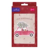 Hallmark Hangpakje kerst auto